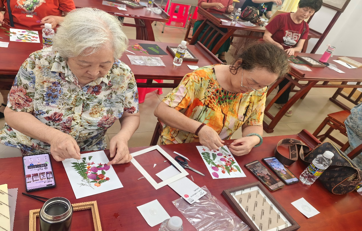 ��ɳ�ؿ�չ2025�ꡰ����ѧ�� �Ҹ���顱ϵ�л