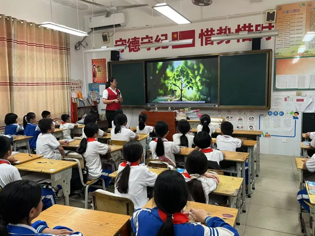 ������+������˫�߷������������»�������Ƴ����ء�����2025������ǩ�����������������������ʵ